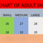 Champions Edition Cricket 1992 Worldcup Pakistan